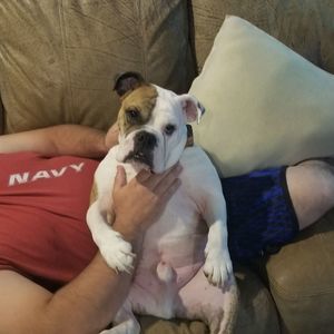 Meet your Posher, Rob